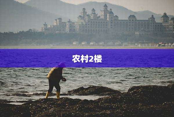 农村2楼