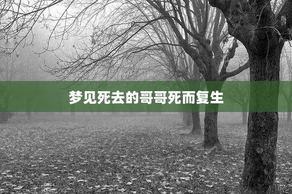 梦见死去的哥哥死而复生
