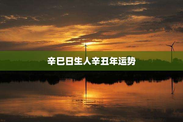 辛巳日生人辛丑年运势