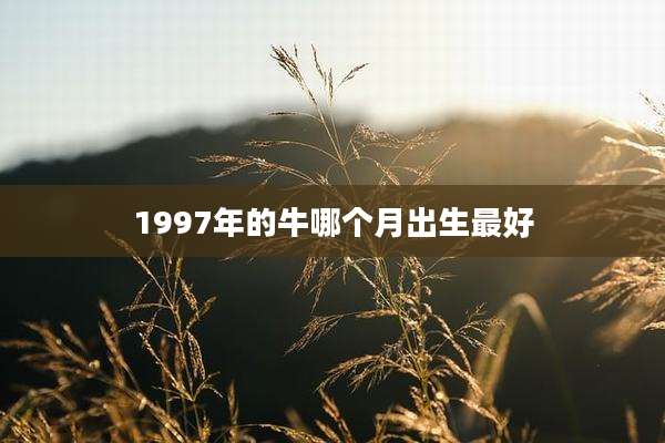 1997年的牛哪个月出生最好