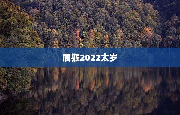 属猴2022太岁