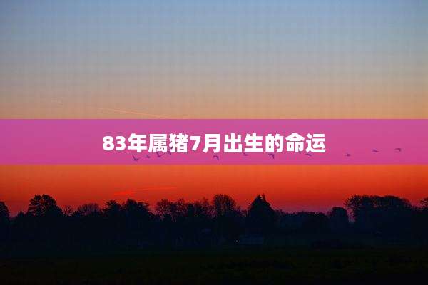 83年属猪7月出生的命运