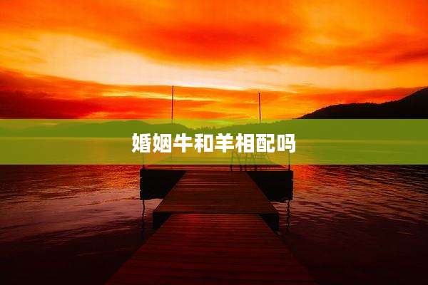 婚姻牛和羊相配吗