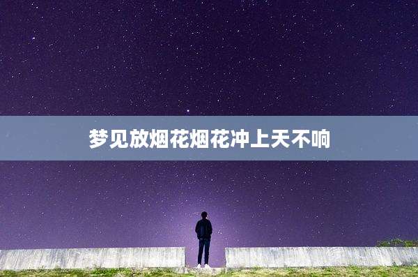 梦见放烟花烟花冲上天不响