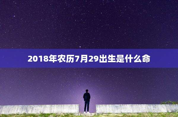 2018年农历7月29出生是什么命