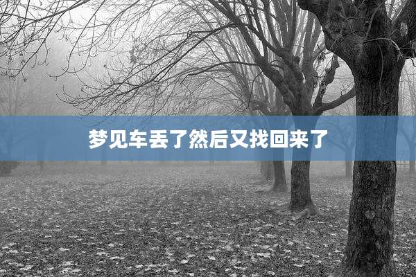 梦见车丢了然后又找回来了
