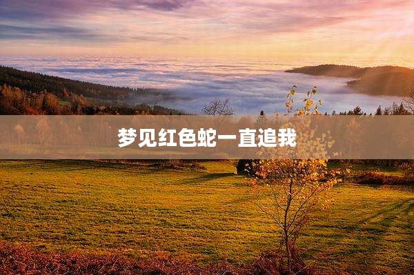 梦见红色蛇一直追我