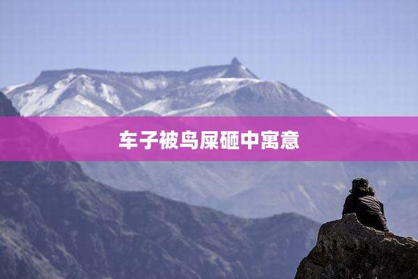 车子被鸟屎砸中寓意