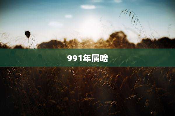 991年属啥
