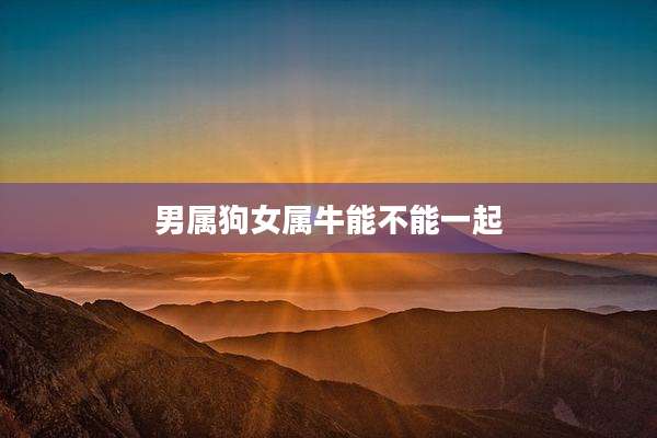 男属狗女属牛能不能一起