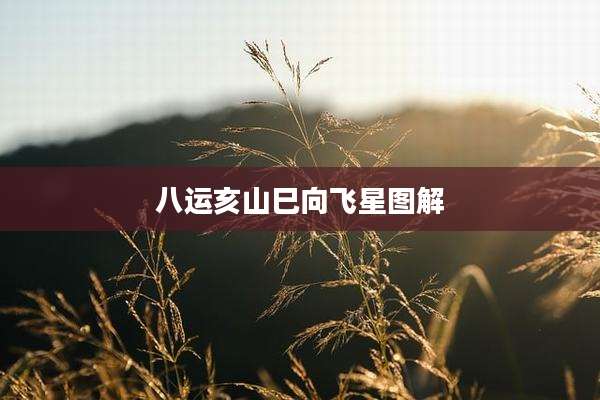 八运亥山巳向飞星图解