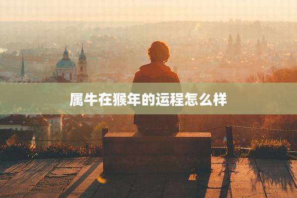 属牛在猴年的运程怎么样