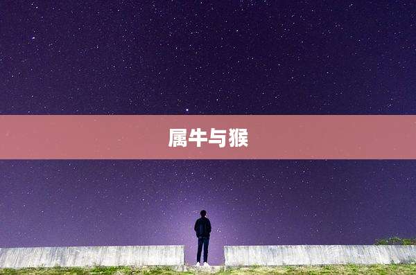 属牛与猴