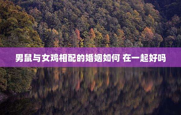 男鼠与女鸡相配的婚姻如何 在一起好吗