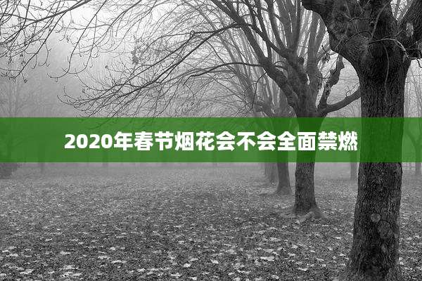 2020年春节烟花会不会全面禁燃
