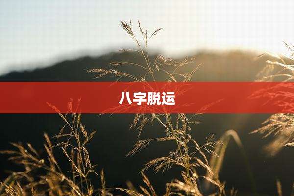 八字脱运