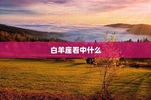 白羊座看中什么