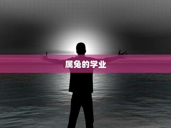 属兔的学业