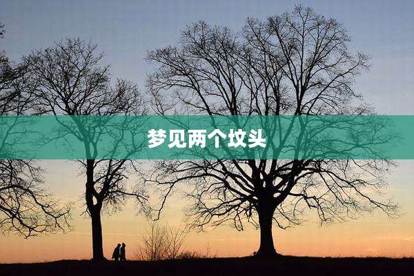 梦见两个坟头