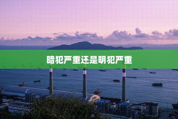 暗犯严重还是明犯严重