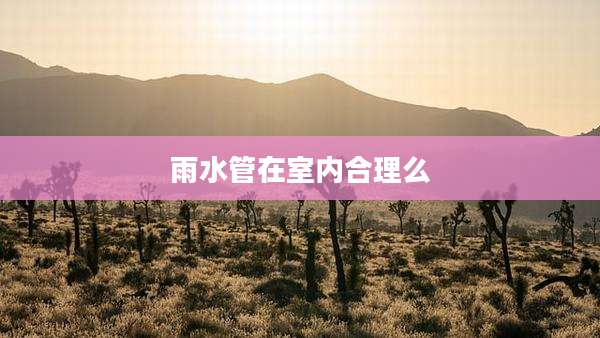 雨水管在室内合理么