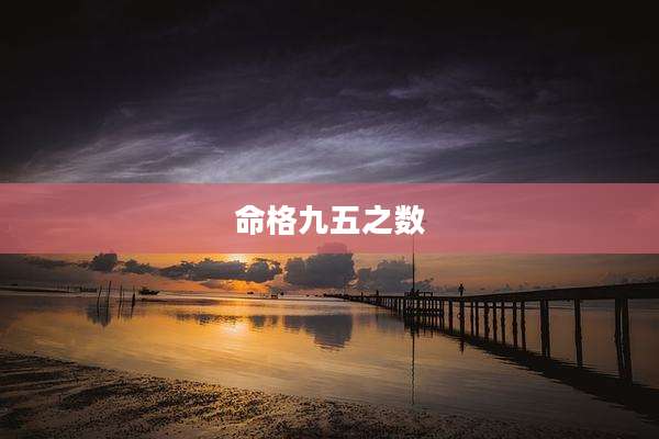 命格九五之数
