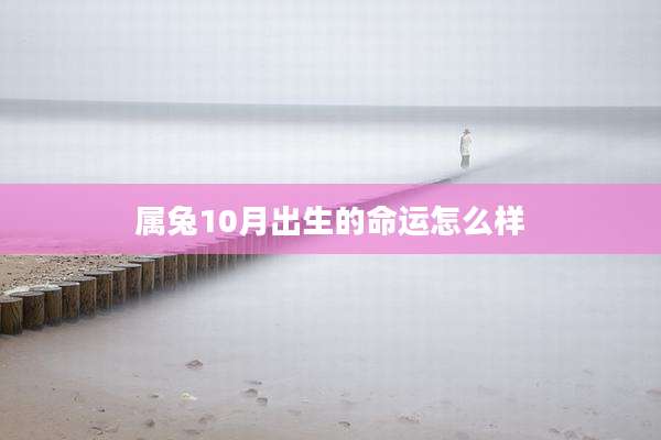 属兔10月出生的命运怎么样