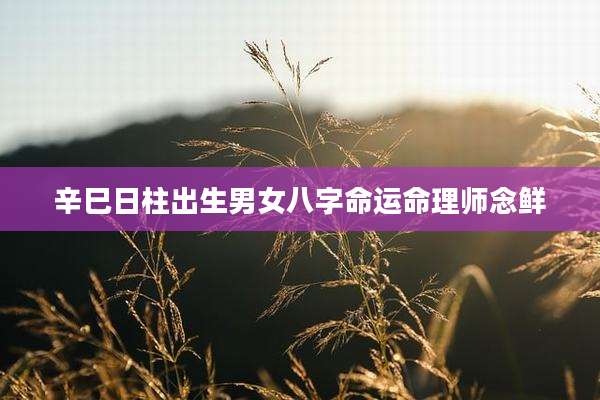 辛巳日柱出生男女八字命运命理师念鲜
