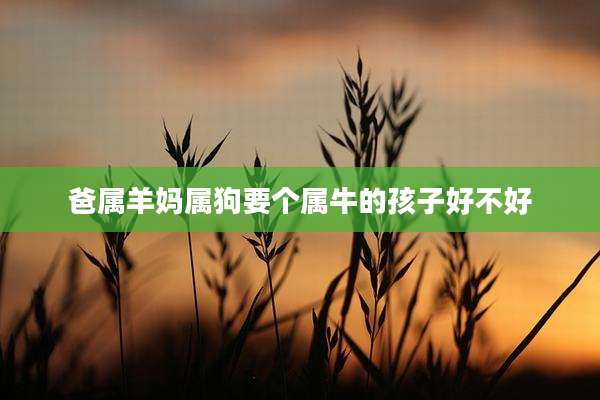 爸属羊妈属狗要个属牛的孩子好不好