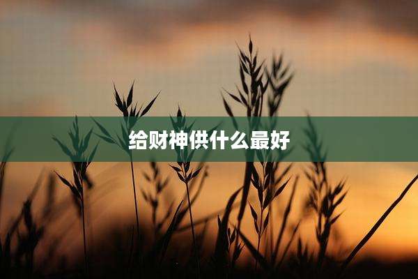 给财神供什么最好