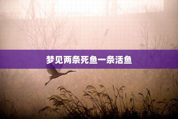梦见两条死鱼一条活鱼