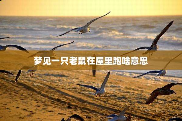 梦见一只老鼠在屋里跑啥意思
