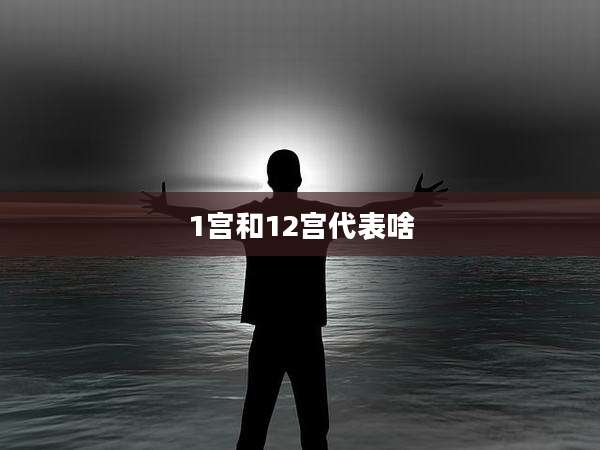 1宫和12宫代表啥