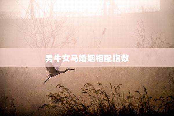 男牛女马婚姻相配指数