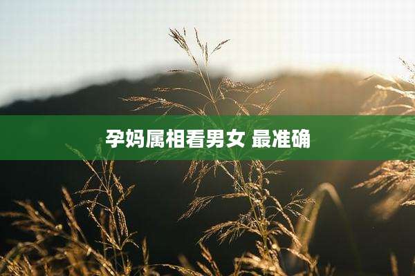 孕妈属相看男女 最准确