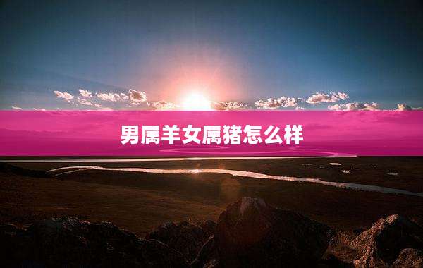 男属羊女属猪怎么样