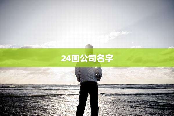24画公司名字