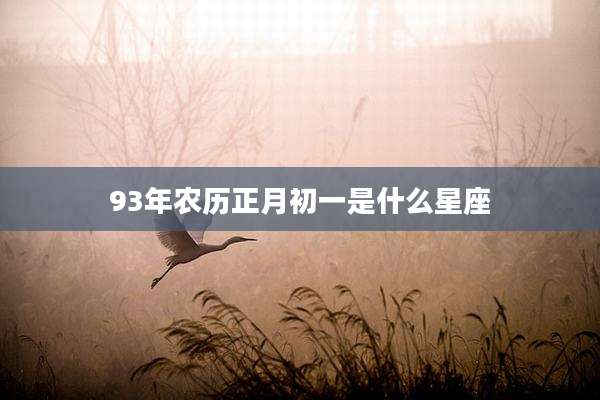 93年农历正月初一是什么星座