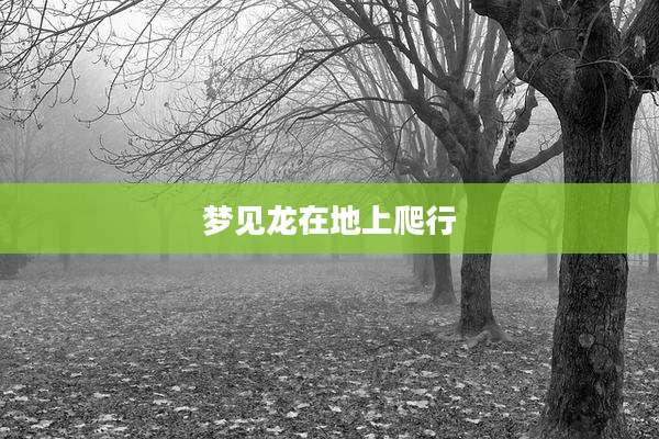 梦见龙在地上爬行