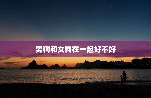 男狗和女狗在一起好不好