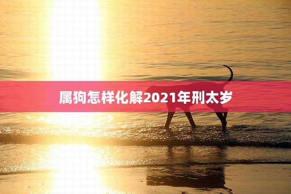 属狗怎样化解2021年刑太岁