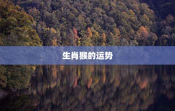 生肖猴的运势