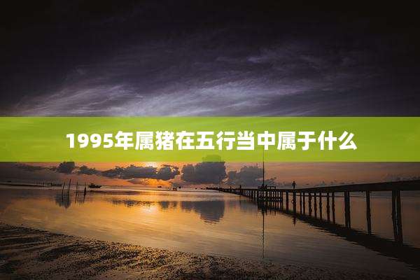 1995年属猪在五行当中属于什么