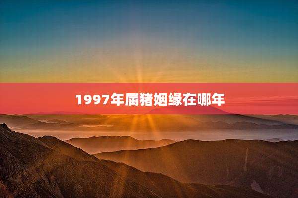 1997年属猪姻缘在哪年