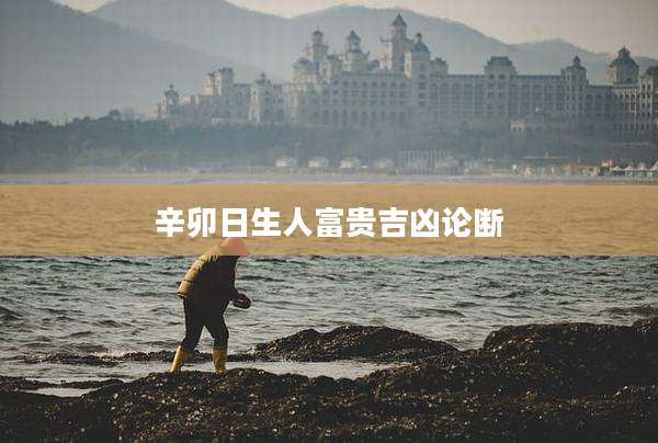 辛卯日生人富贵吉凶论断