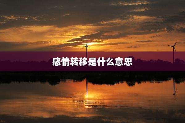 感情转移是什么意思