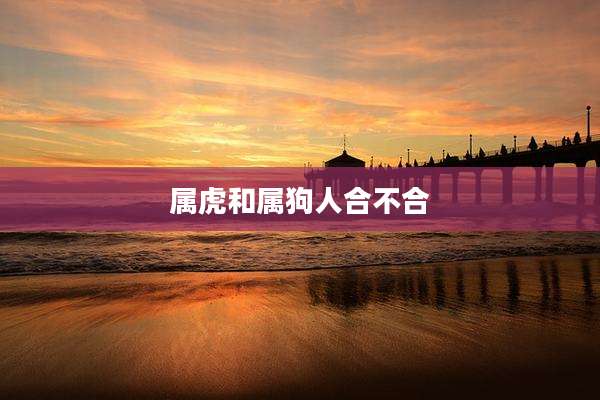 属虎和属狗人合不合