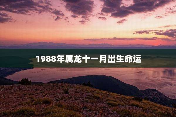 1988年属龙十一月出生命运