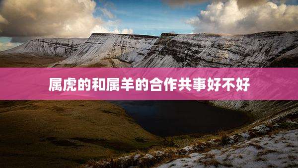 属虎的和属羊的合作共事好不好