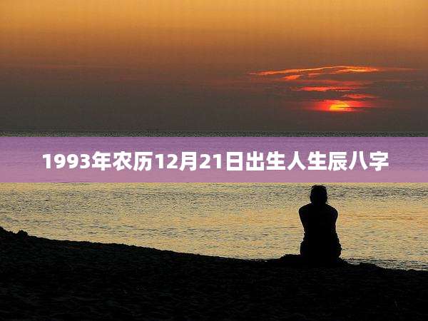 1993年农历12月21日出生人生辰八字